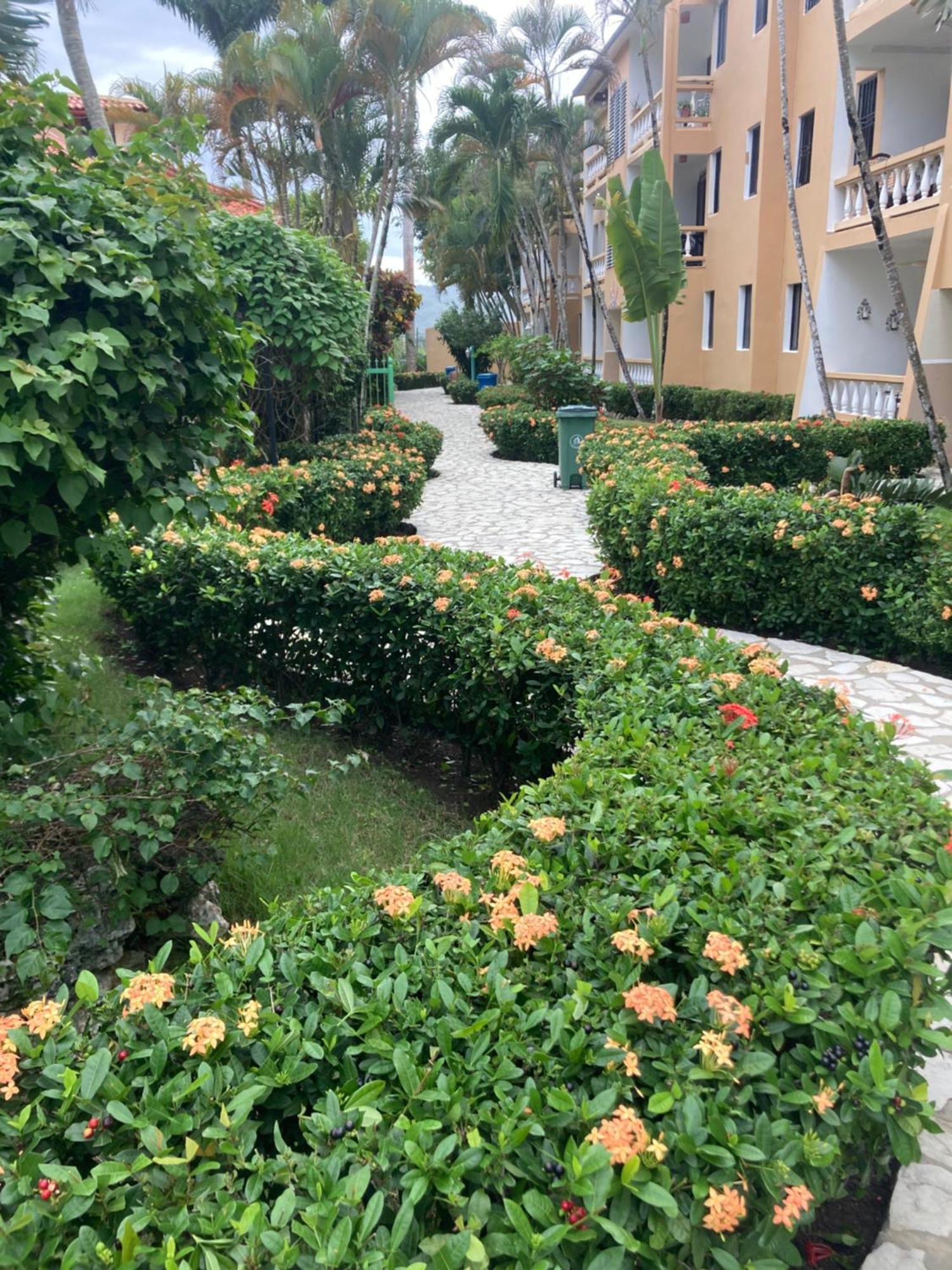 Cita Del Sol City Apartments Cabarete Zewnętrze zdjęcie